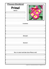 Pflanzensteckbrief-Primel.pdf
